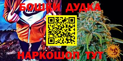 дмт Пушкино