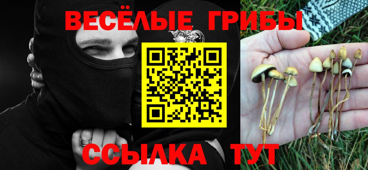 Галлюциногенные грибы MAGIC MUSHROOMS Саров